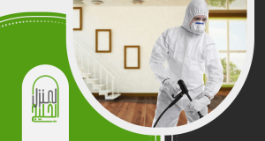 أفضل شركة مكافحة صراصير في الرياض